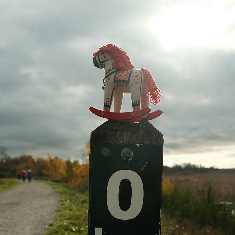 Rocking Horse